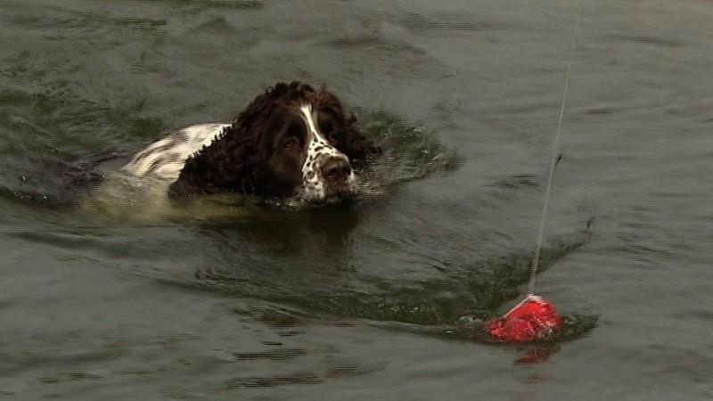 Die vierte Folge der Mini-Serie "Ach du dicker Hund" hundkatzemaus: Die vierte Folge der Mini-Serie "Ach du dicker Hund"
