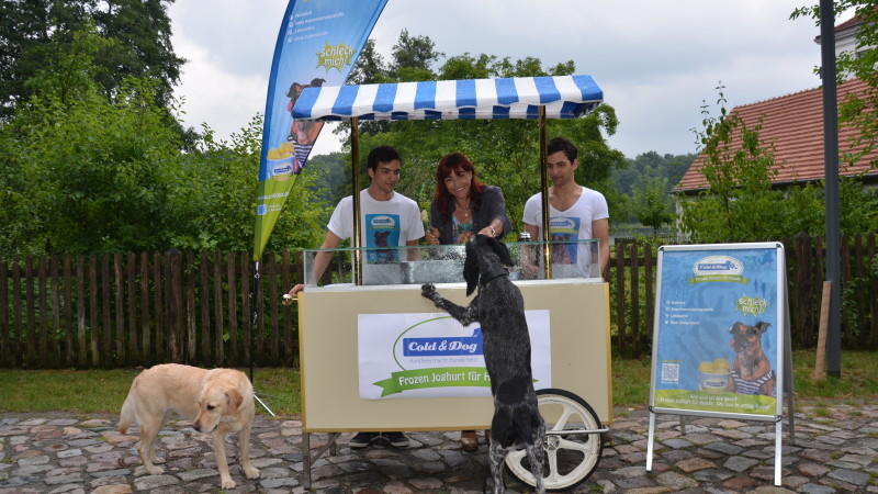 Hundeeis: Ein tierisch leckeres Dessert hundkatzemaus Hundeeis