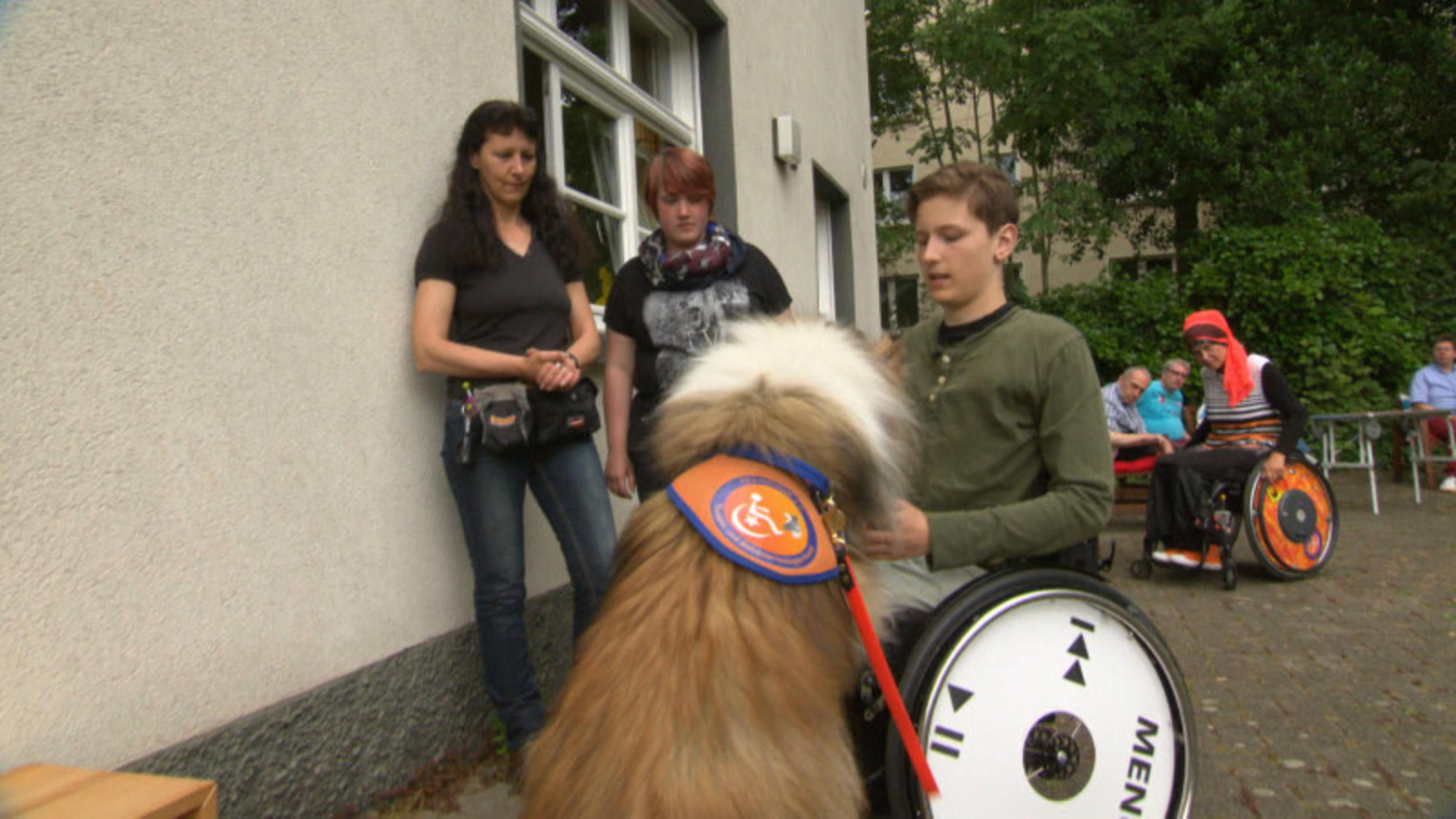 Mini-Serie "Rollidogs - Freunde fürs Leben" - Folge 6 hundkatzemaus Prüfung