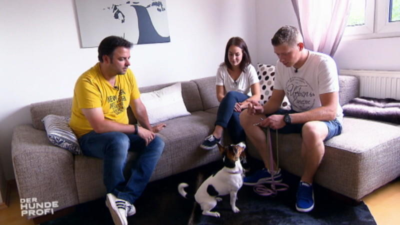 Der Hundeprofi: So lernt Lucy, mit Herrchen Olaf klarzukommen Der Hundeprofi: Fall "Lucy"