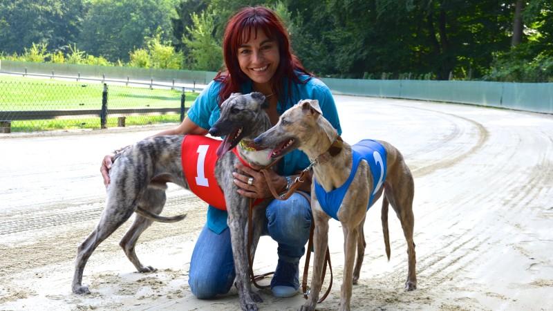 Windhunderennen: Schnell wie der Wind hundkatzemaus: Windhunde