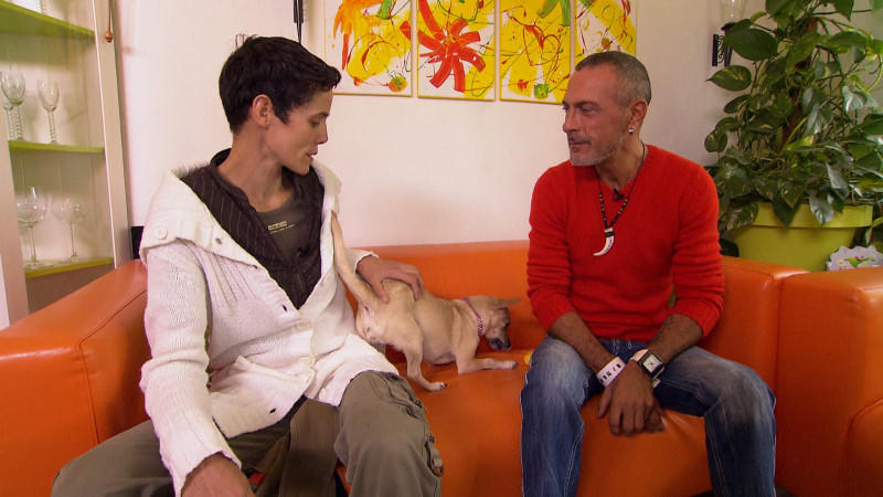 Tier-Coaching mit Nicolle Müller hundkatzemaus: Tier-Coaching mit Nicolle Müller