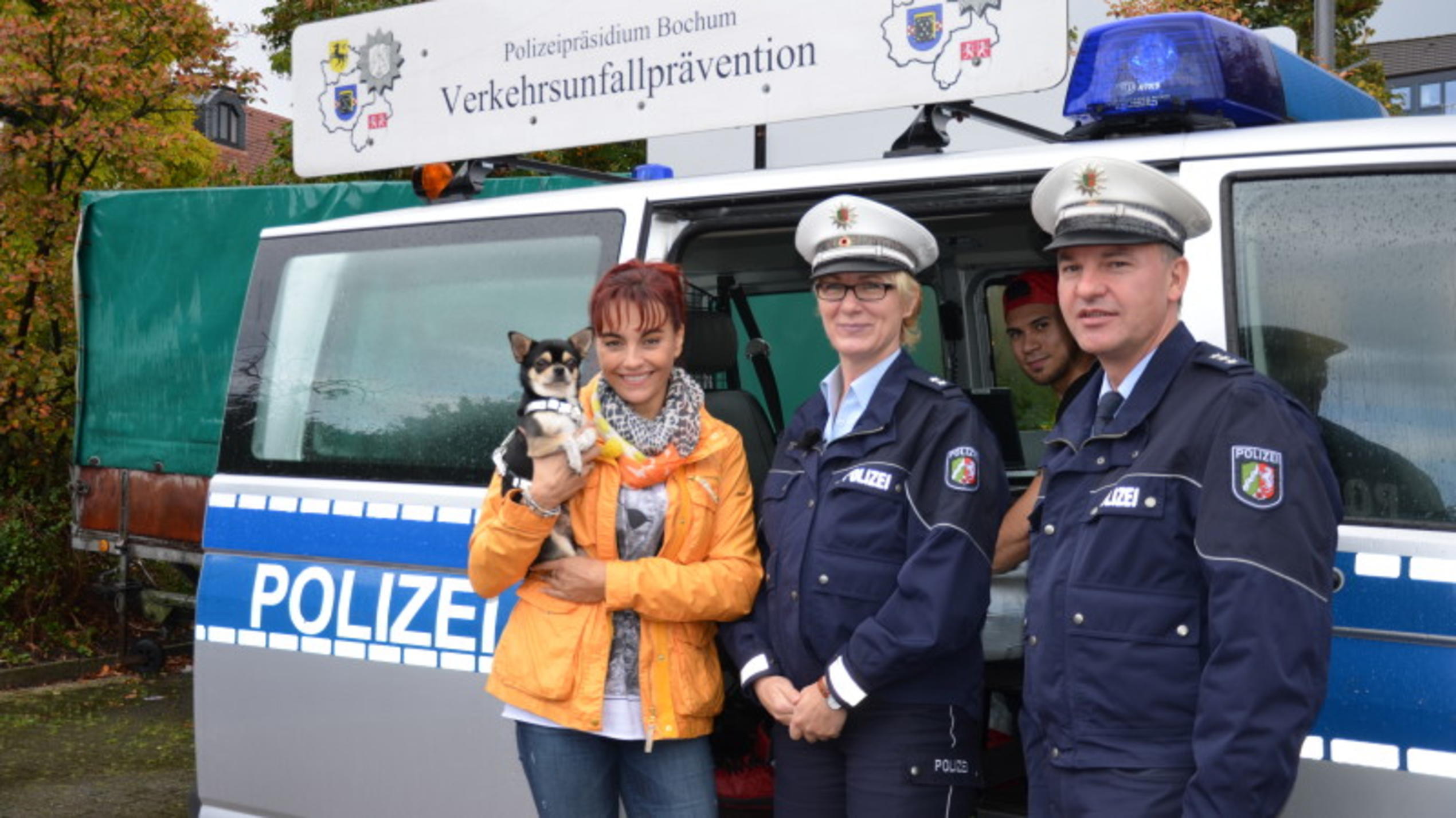 Tiersicherheit im Auto hundkatzemaus: Tiersicherheit im Auto