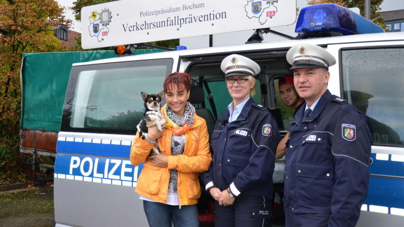 Tiersicherheit im Auto hundkatzemaus: Tiersicherheit im Auto