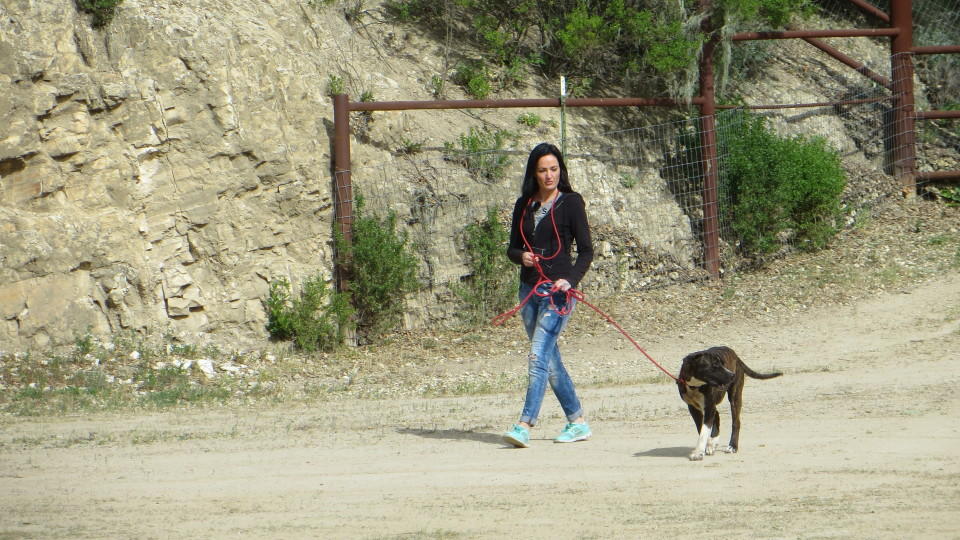Auf und davon: Das ist Auswanderin Yvonne "Auf und davon": Yvonne in Kalifornien