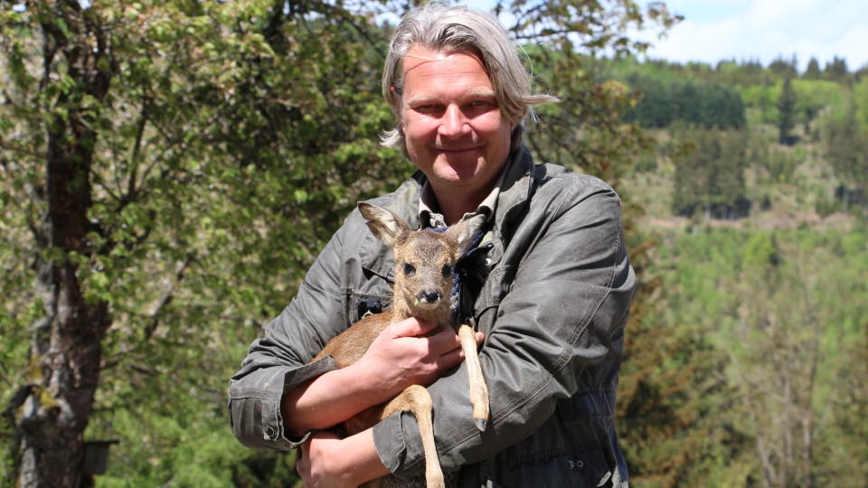 hundkatzemaus: Was wird aus Rehbock Lennox? hundkatzemaus-Tierschutzexperte Frank Weber
