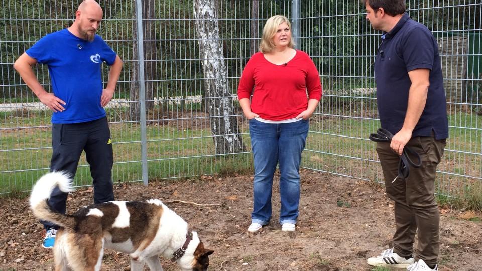 Der Hundeprofi unterwegs: Martin Rütter zu Besuch im Nürnberger Tierheim Der Hundeprofi unterwegs