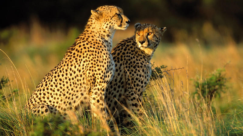 Südafrika fernab der Touristenpfade Südafrika fernab der Touristenpfade