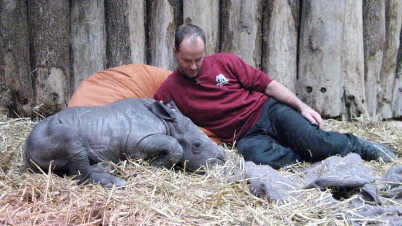 Nashorn-Baby als Bettnachbar Nashorn-Baby als Bettnachbar