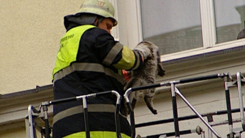 Tierrettung München Tierrettung München