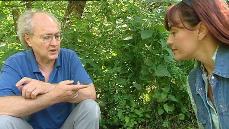 Der Schneckenflüsterer Der Schneckenflüsterer