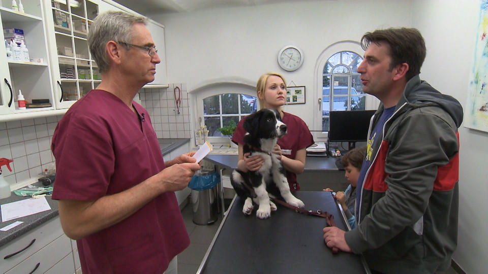 hundkatzemaus: Welpe Kalles erster Tierarztbesuch "hundkatzemaus" in der Tierklinik Isernhagen