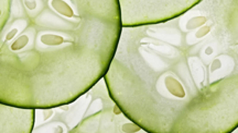 Die Wasserflasche des Gemüsegartens Die Gurke