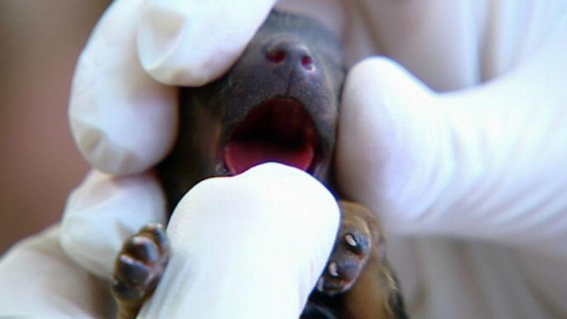 Klinik für Geburtshilfe Gießen Klinik für Geburtshilfe Gießen