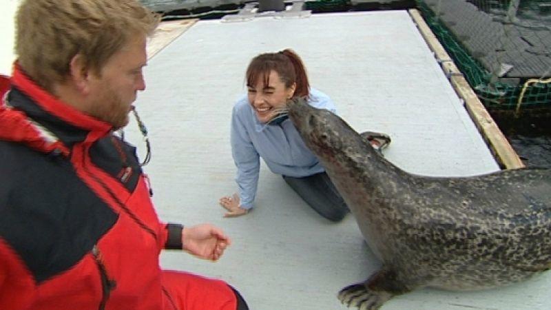 Seehunde Diana Eichhorn besucht für hundkatzemaus das Marine Science Center in Rostock. Foto: VOX/VP