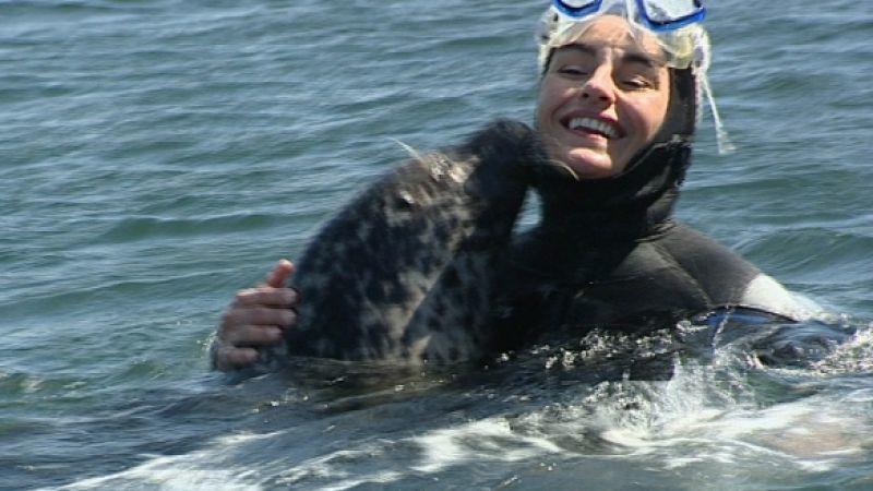 Seehunde hundkatzemaus-Reporterin Diana Eichhorn taucht mit Seehunden. Foto: VOX/VP