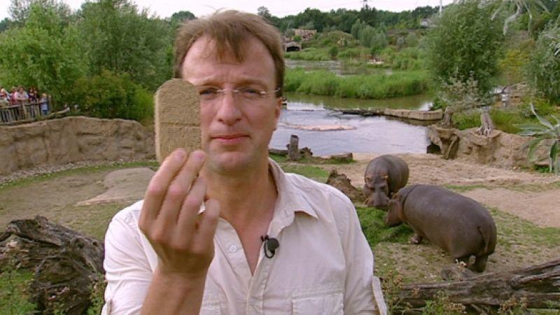 Verhütung beim Flusspferd Matthias Reinschmidt und die brötchengroße Anti-Babypille für Flusspferd-Dame Rosl. Foto: VOX/VP