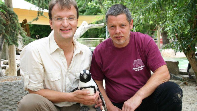 Pinguine im Zoo Münster Matthias Reinschmidt im Allwetterzoo Münster mit Pinguindame Sandy und Tierpfleger Peter Vollbracht. Foto: VOX/DOCMA/Dr. Gerald Krakauer