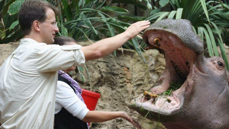 Verhütung beim Flusspferd Kurator vom Loro Parque Teneriffa, Matthias Reinschmidt mit dem ältesten Nilpferd Deutschlands. Foto: VOX/DOCMA/Dr. Gerald Krakauer