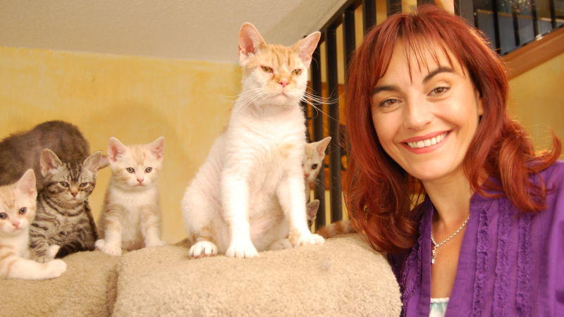 Drahthaarkatzen hundkatzemaus-Reporterin Diana Eichhorn mit Drahthaarkatzen. Foto: VOX/DOCMA TV