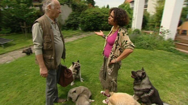 Ausfluss bei Hunden hundkatzemaus-Tierarzt Dr. Wolf bei Dr. Muna Nabhan und ihrem Nachwuchs an Glückshunden. Foto: VOX/VP