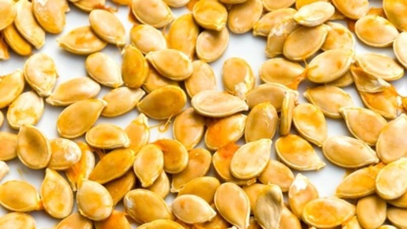 Kürbiskerne und Kürbiskernöl Kürbiskerne und Kürbiskernöl
