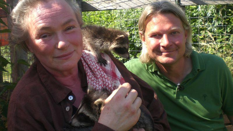 Nächste Sendung hundkatzemaus-Tierschutzexperte Frank Weber mit Rose-Marie Halbrock und den Waschbärbabys. Foto: VOX/DOCMA TV/Dr. Gerald Krakauer