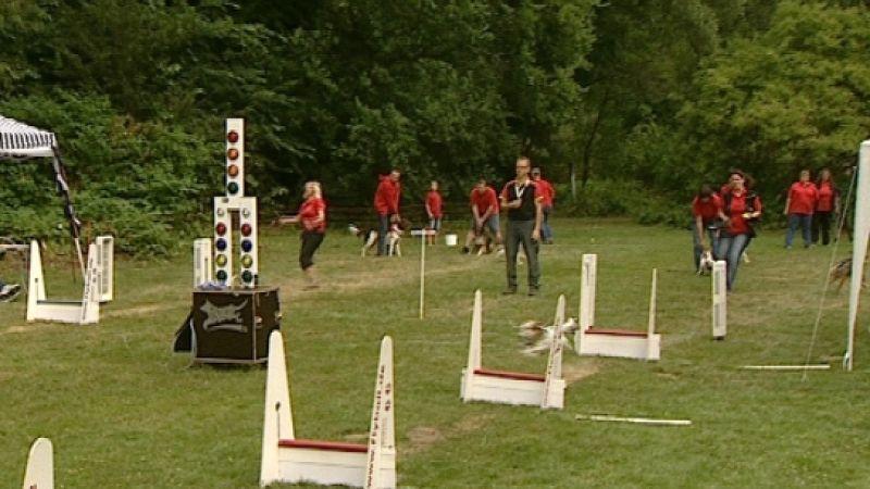 Hundetrendsport Flyball Flyballturner. Foto: VOX/VP