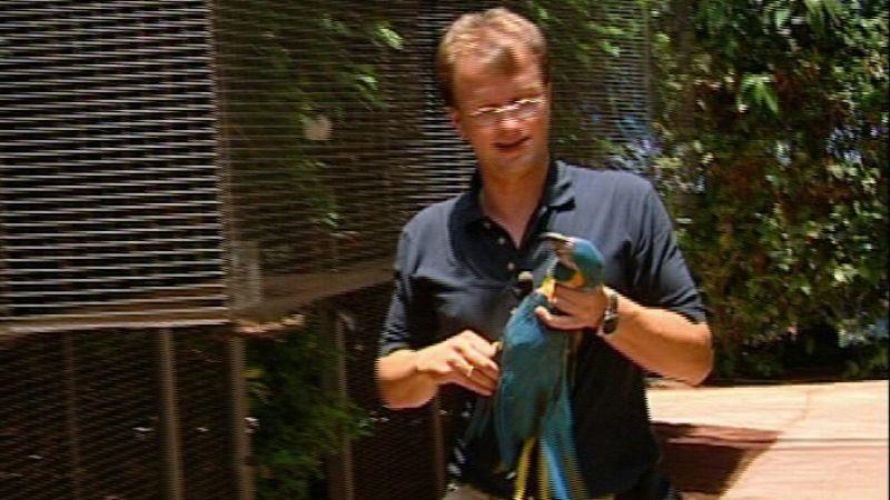 Loro Parque Teneriffa Blaukehl-Ara (Foto: VOX/VP)