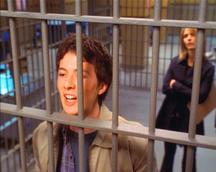Criminal Intent Episodenguide Criminal Intent Episodenguide