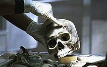 CSI:NY Episodenguide CSI:NY Episodenguide