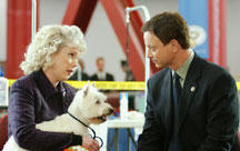 CSI:NY Episodenguide CSI:NY Episodenguide