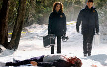 CSI:NY Episodenguide CSI:NY Episodenguide