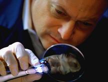 CSI:NY Episodenguide CSI:NY Episodenguide
