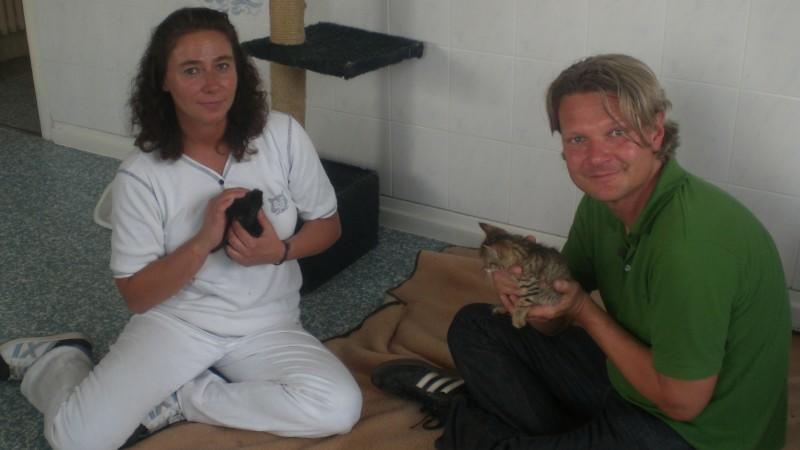 Katzenbabys (Foto: VOX/VP)