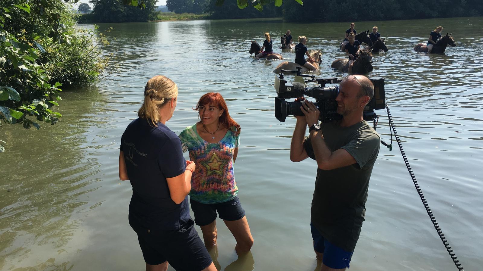 hundkatzemaus: Für Diana Eichhorn geht es hoch zu Ross ins kühle Nass hundkatzemaus-Reporterin Diana Eichhorn beim Pferdeschwimmen