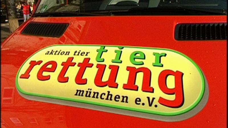 Tierrettung München (Foto: VOX/VP)