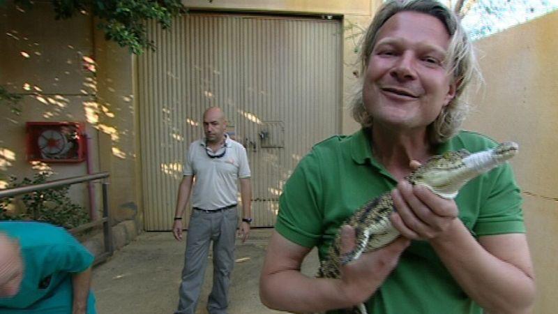 Nilkrokodile im Flieger hundkatzemaus-Tierschutzexperte Frank Weber mit einem kleinen Nilkrokodil. Foto: VOX/VP