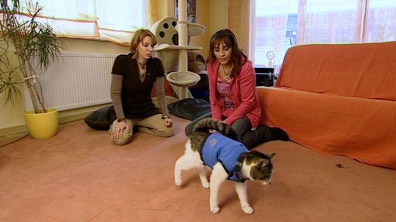 Ataxie-Katzen hundkatzemaus-Reporterin Diana Eichhorn bei Katzenhalterin Barbara Helferich und ihrer Ataxiekatze Sari. Foto: VOX/VP