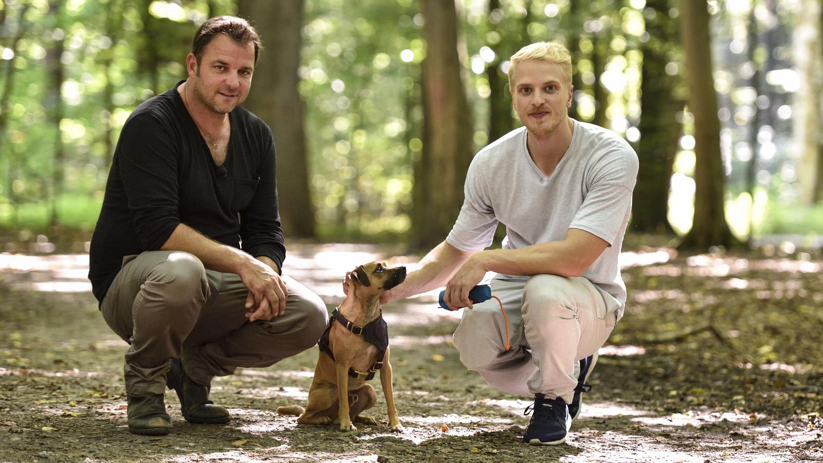 Der V.I.P. Hundeprofi: Martin Rütter hilft wieder prominenten Hundebesitzern Martin Rütter (l.) und Mario Galla mit Hund "Enzo"