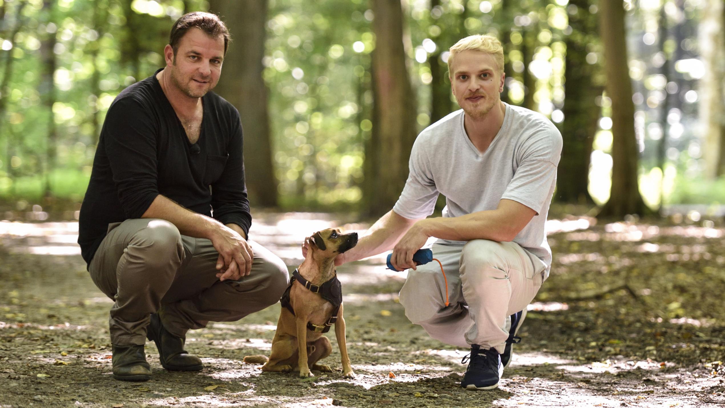Der V.I.P. Hundeprofi: Mario Galla mit Enzo Der V.I.P. Hundeprofi: Martin Rütter und Mario Galla mit Hund "Enzo"