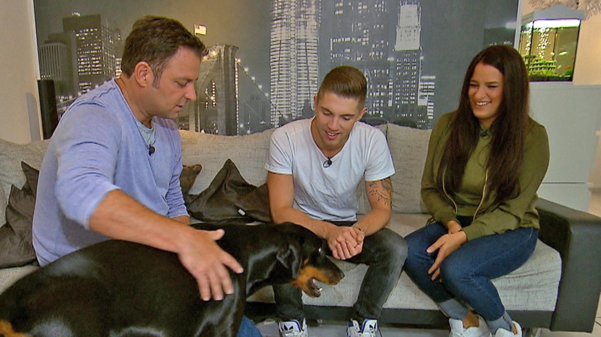 Der V.I.P Hundeprofi: Joey Heindle mit Jersey Der V.I.P. Hundeprofi: Martin Rütter mit Hündin Jersey, Joey Heindle, und Justine Dippel