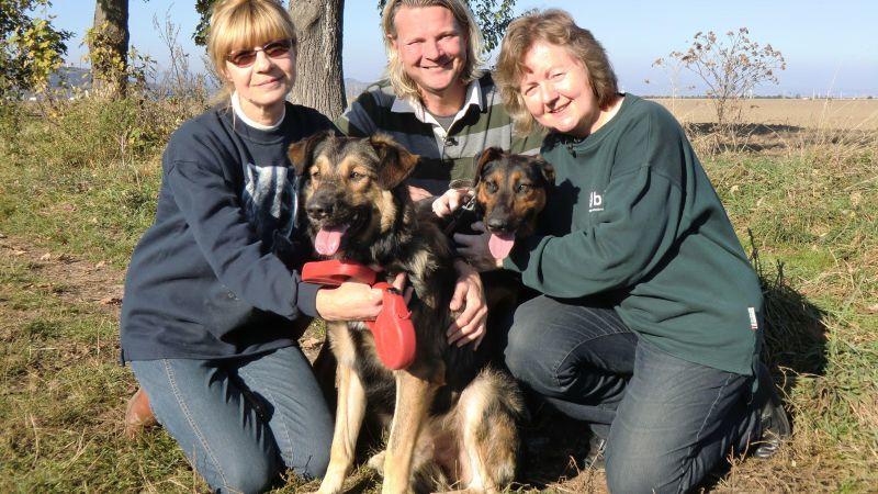 Tiere in Not Frank Weber, Christina Lapis (l.) und Petra Zipp, Straßenhunde Bukschi (l.) und Chappi. Foto: VOX/DOCMA TV/Dr. G. Krakauer