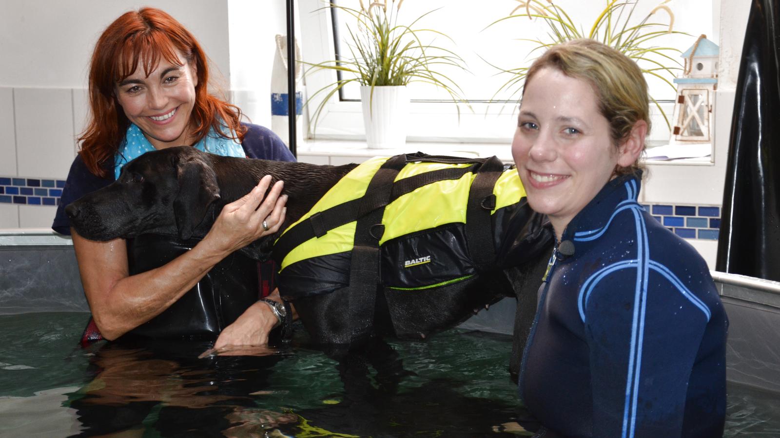 hundkatzemaus: Hundeschwimmstunde bei einer Tiertherapeutin hundkatzemaus: Diana Eichhorn mit Tiertherapeutin Lisa Keller