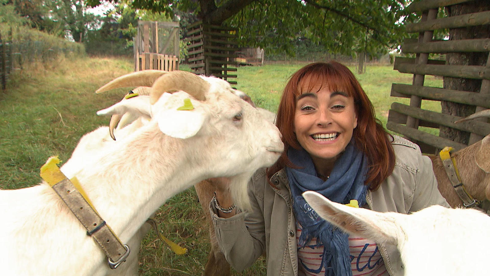 hundkatzemaus: Diana Eichhorn schnuppert in die Ziegenkäse-Produktion hundkatzemaus-Reporterin Diana Eichhorn besucht einen Bio-Ziegenhof