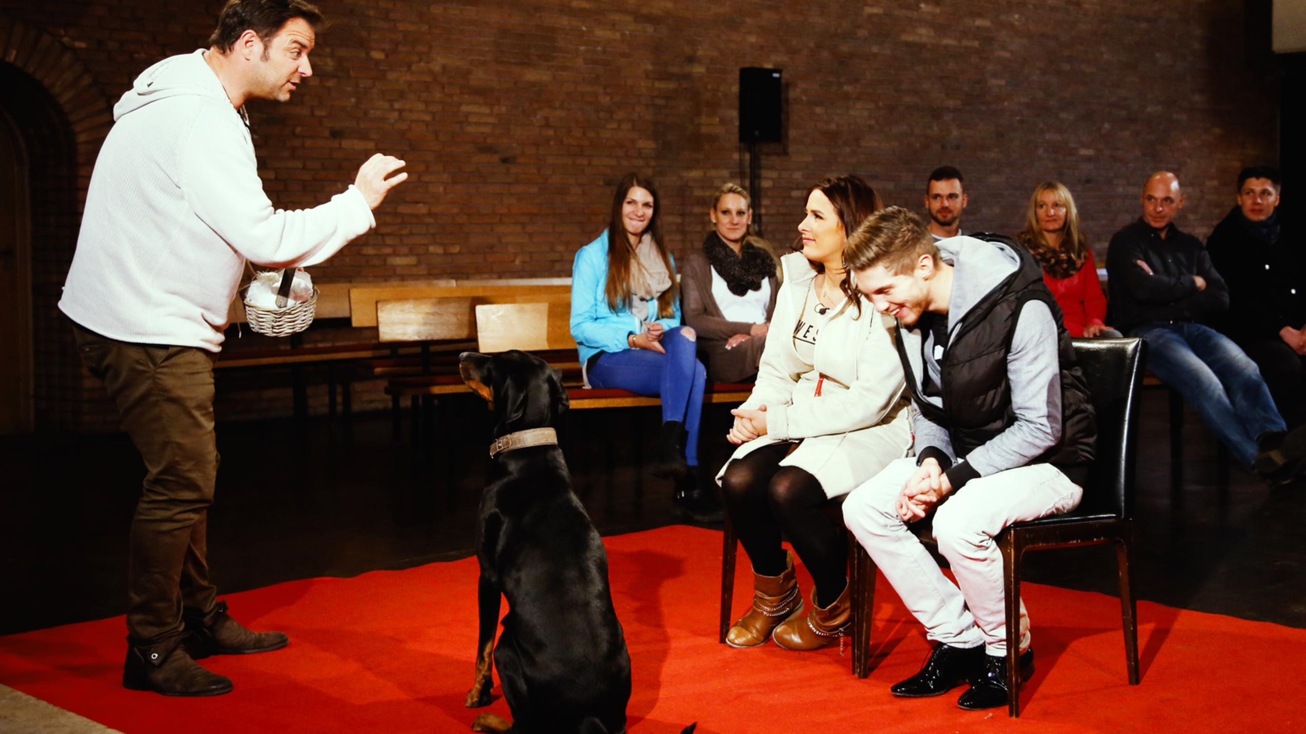 Der V.I.P. Hundeprofi: Joeys Hündin bekommt eine wichtige Aufgabe Der V.I.P. Hundeprofi: Joey Heindle und Justine Dippel wünschen sich zu ihrer Trauung, dass ihr Hund "Jersey" ihre Ringe in einem Körchen überbringt. Damit das klappt, haben sie Martin Rütter an ihrer Seite.
