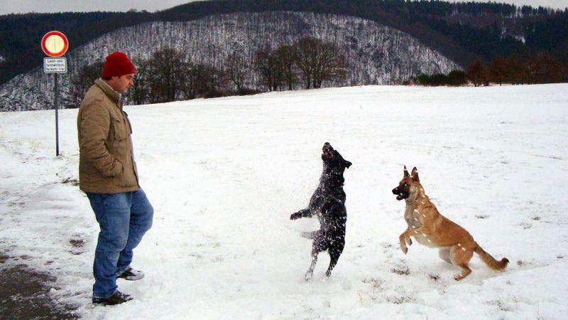 Leyla und Kiara Hundeprofi Martin Rütter, Labrador-Australian-Shepherd-Mix Leyla, Malinois-Mix Kiara. Foto: VOX/Mina TV GmbH
