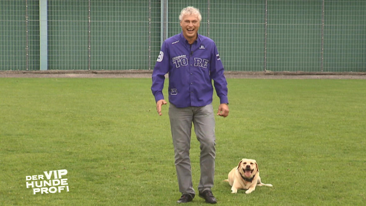Der V.I.P. Hundeprofi: Martin Rütters Erlebnis mit Toni Polster und Hündin Sunna Der V.I.P. Hundeprofi: Martin Rütter besucht Toni Polster und seine Hündin Sunna