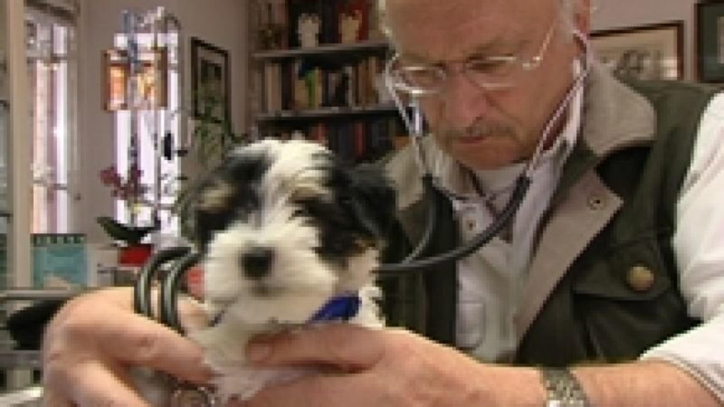Welpencheck hundkatzemaus-Tierarzt Dr. Wolf untersucht Havaneserwelpen. Foto: VOX/VP