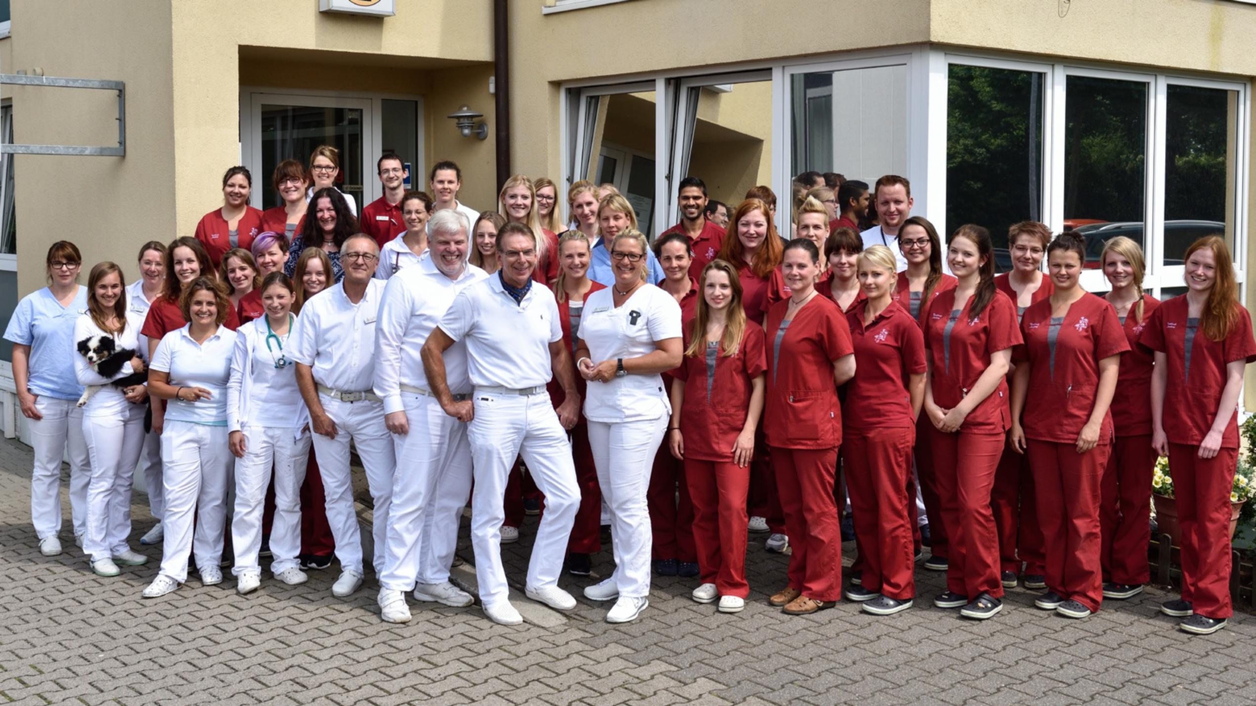 Hautnah: Die Tierklinik: In Lüneburg werden tierische Blutspender gesucht hautnah: Die Tierklinik: Das Team der Tierklinik Lüneburg
